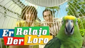 Er relajo der Loro — foto 1