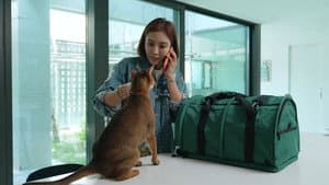 모자산책 — foto 1