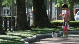 奇跡 — foto 12