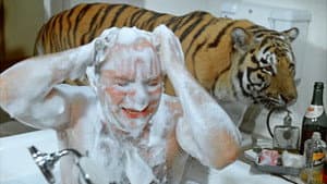 Полосатый рейс — foto 11