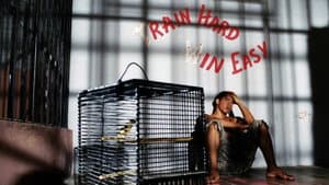 Bad Boy - Rennen am Äquator — foto 1
