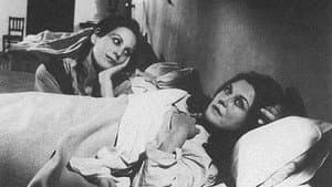 Fortunata y Jacinta — foto 1