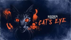 El ojo del gato — foto 1