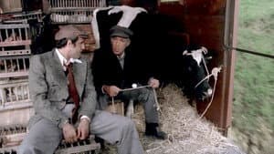 Bluff - Storia di truffe e di imbroglioni — foto 8