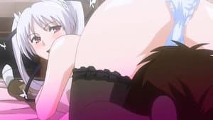 お嬢様☆嫁入り抗争! — foto 2