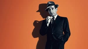 Bogart: Life Comes in Flashes — foto 5
