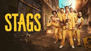Stags — foto 6