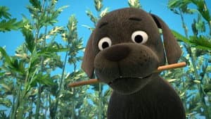 El perro de Ninjaville