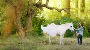 Pegasus: Pony With a Broken Wing — foto 2