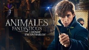 Animales Fantásticos: Y Dónde Encontrarlos — foto 4