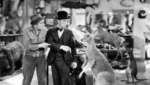 What! No Beer? — foto 4