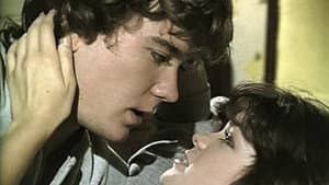 Young Love, First Love — foto 2