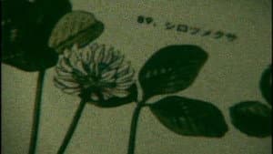 世界はときどき美しい — foto 1
