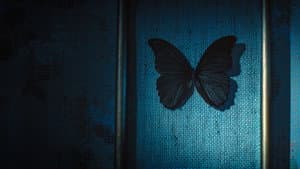 Las Mariposas Negras — foto 4