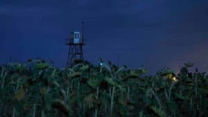 Nacht Grenze Morgen — foto 1