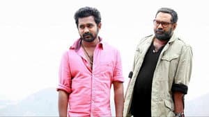 പകിട — foto 2