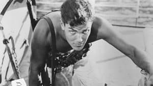 Sailor of the King — foto 2