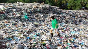 Why Plastic: Coca Cola/American Plastic — foto 1