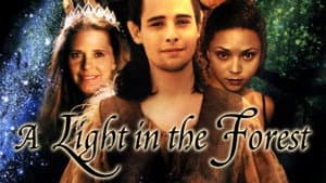 A Light in the Forest — foto 3