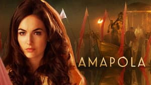 Amapola — foto 4