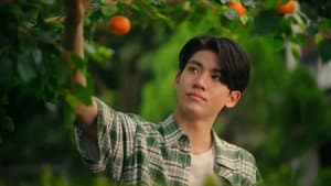 ต้นส้มบ้านเขา แต่ผลส้มหล่นมาบ้านเราตลอดเลย — foto 4