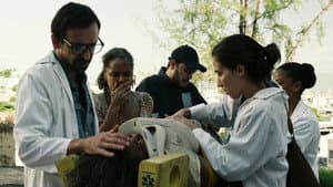 Episodio 8