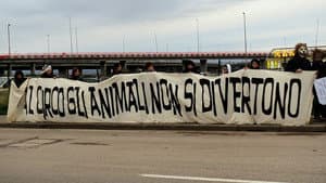 L’ultimo spettacolo — foto 1
