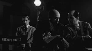 Curtiz — foto 3