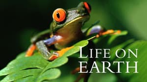 Life on Earth — foto 4