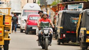 സൗദി വെള്ളക്ക — foto 2