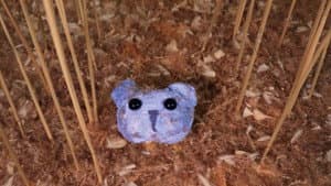 Stuffed — foto 2