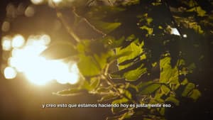 Soñando Martín — foto 7