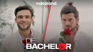 De Bachelor — foto 2