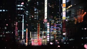 夢の募集 — foto 1