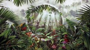 Planeta Verde — foto 12