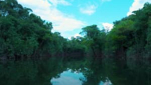 Como Matar um Rio — foto 8