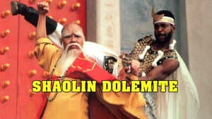 Shaolin Dolemite — foto 3