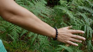 Aware – Reise in das Bewusstsein — foto 6