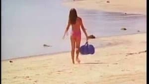 La risa en vacaciones 3 — foto 1