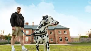 Bad Dog Academy — foto 6