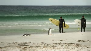 La Ola sin Fronteras: Una expedición al Atlántico Sur — foto 1