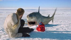Ice Sharks — foto 1