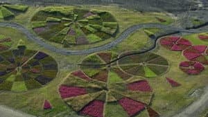 A Margem da Paisagem — foto 1