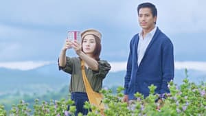 ဇာတိမြေ — foto 1