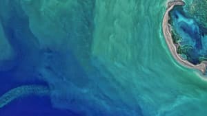 The Earthshot Prize: Repairing Our Planet — foto 2