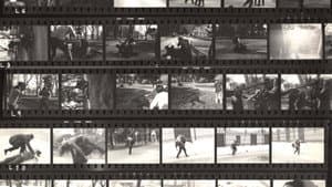 Fragmentos rebelados — foto 1