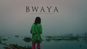 Bwaya — foto 1