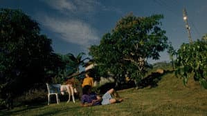 Tarde no Planeta — foto 2