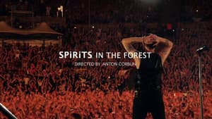 Spirits in the Forest — foto 1