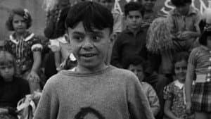 The Pigskin Palooka — foto 1